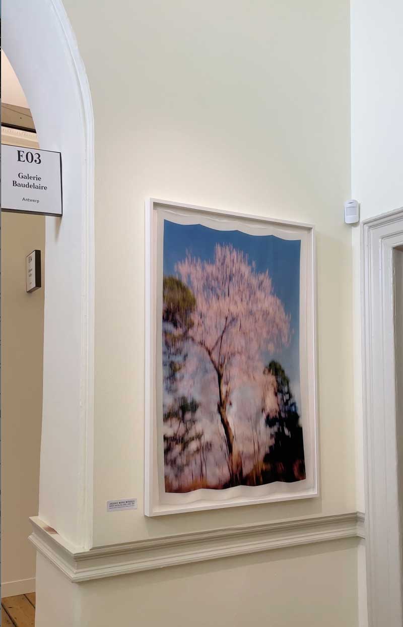 Photo London 2025 Jacquie Maria Wessels