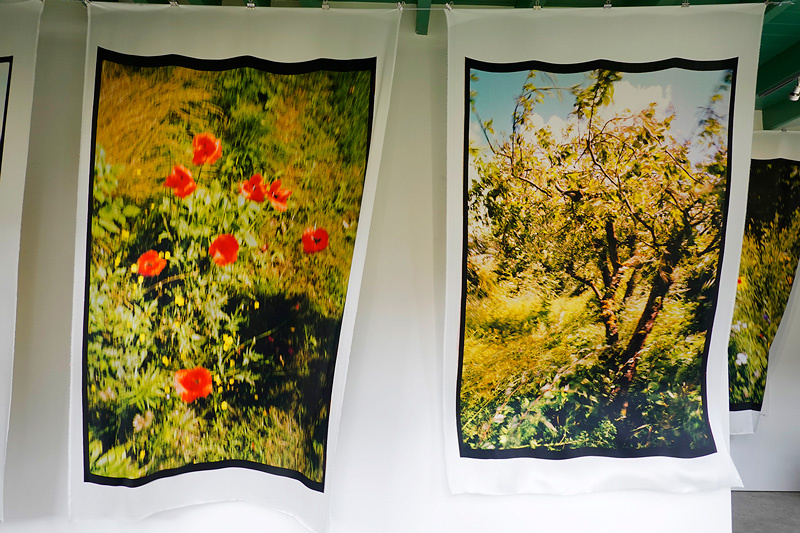 Van GoghGalerie Jacquie Maria Wessels