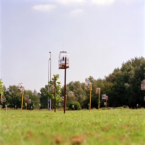 The Birdman by Jacquie Maria Wessels Birdman Amsterdam Netherlands 2007 Jacquie Maria Wessels