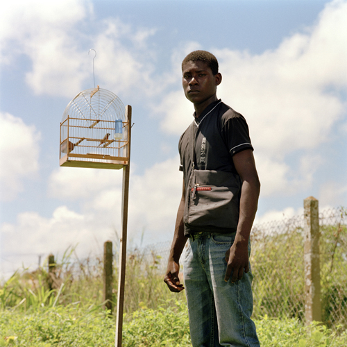 The Birdman by Jacquie Maria Wessels Birdman Paramaribo Suriname 2008 Jacquie Maria Wessels