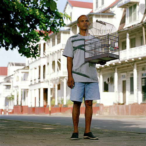 The Birdman by Jacquie Maria Wessels Birdman Paramaribo Suriname 2006 Jacquie Maria Wessels